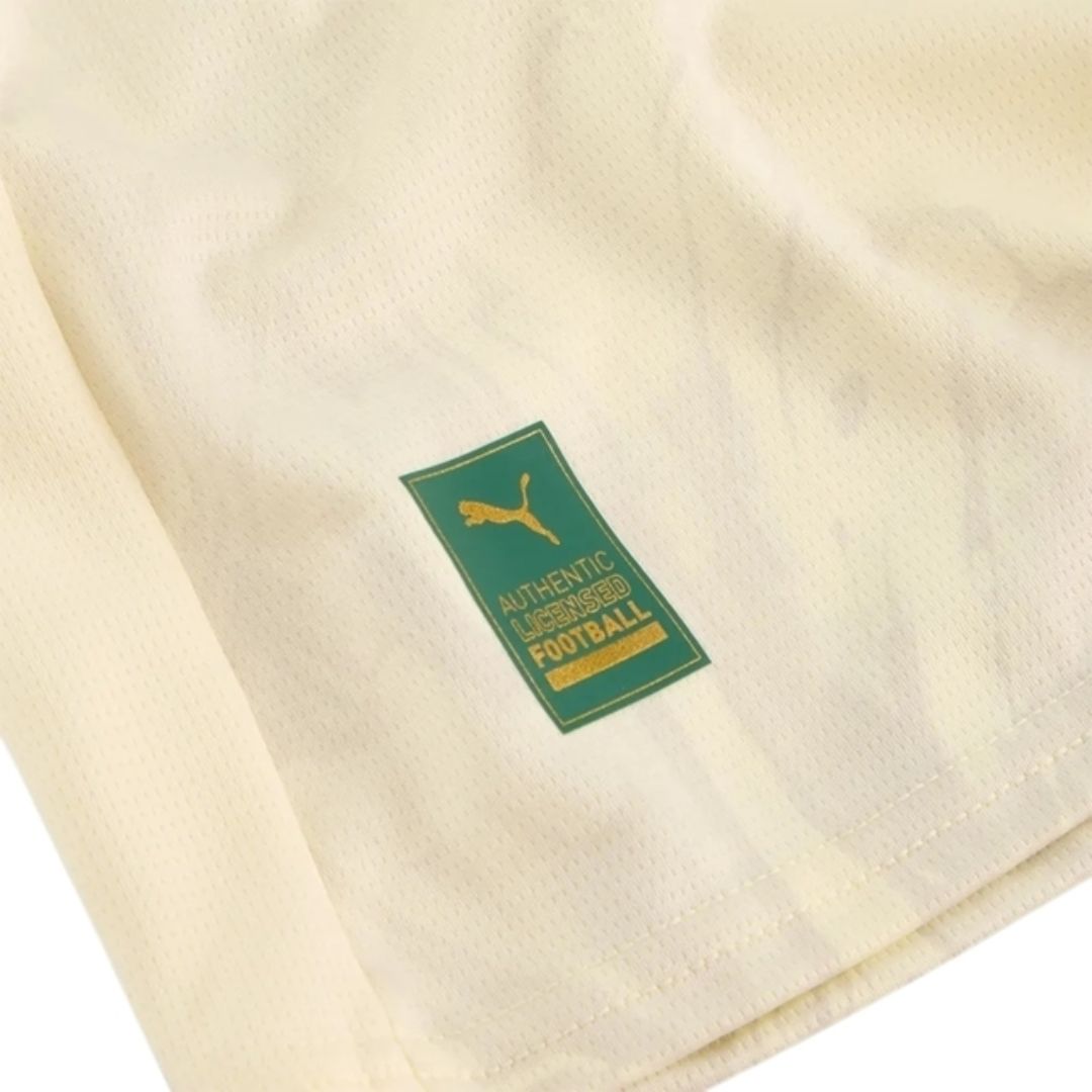 Palmeiras 25/26 Club World Cup