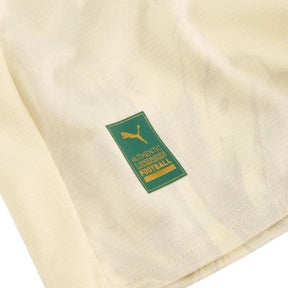 Palmeiras 25/26 Club World Cup